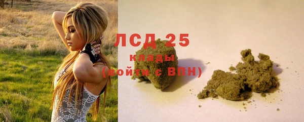 ECSTASY Богданович