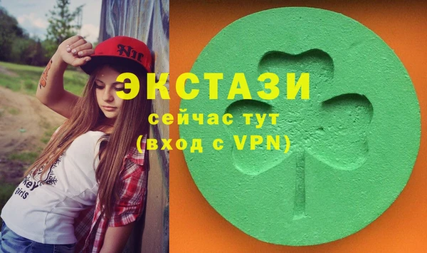 ECSTASY Богданович