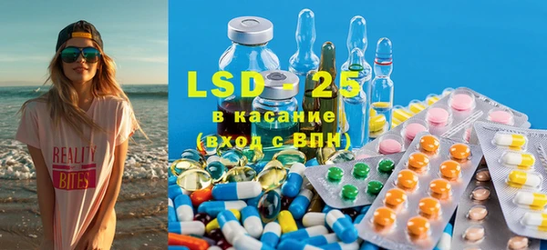 ECSTASY Богданович