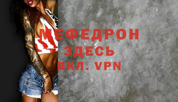 ECSTASY Богданович